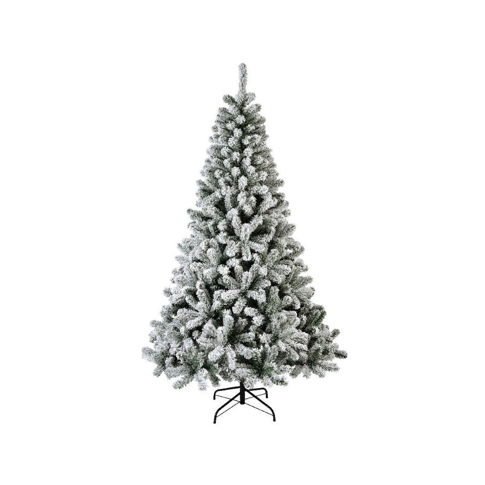 ABETE MONARCH H.240CM. INNEVATO